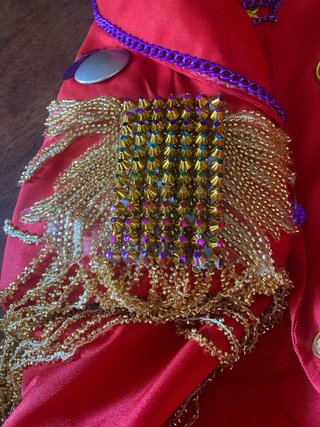 Disfraz Domadora Carnaval Talla L (dispongo de 2)