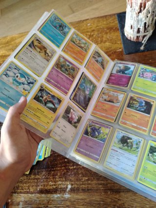 Álbum de cartas Pokémon (284 cartas)