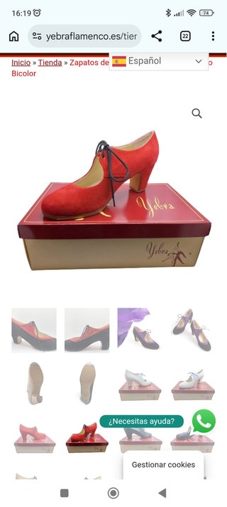 Zapatos Flamenco Yebra Piel/Ante Rojo
