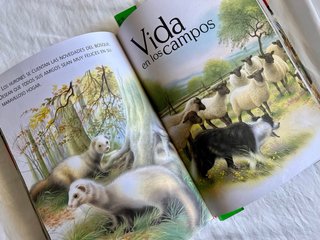 Historias de animales