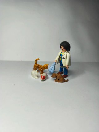 Lote Playmobil Veterinario y Animales