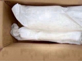 Maniquí infantil blanco