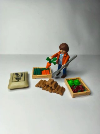 Lote Playmobil: Granja y Verduras