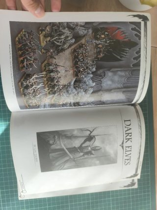 Warhammer Armies Dark Elves
