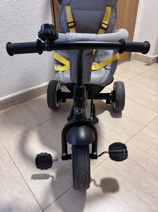 Triciclo Evolutivo