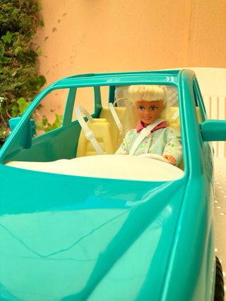 Coche Barbie Kennel Care con Muñeca y Perrito
