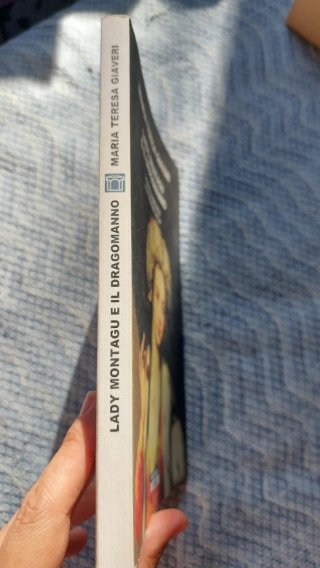 Lady Montagu e il dragomanno. Viaggio avventuro...