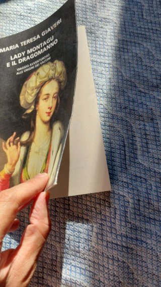 Lady Montagu e il dragomanno. Viaggio avventuro...