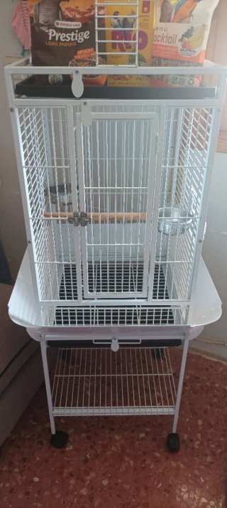 Jaula para loro blanca