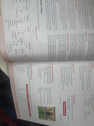 Geografia eta Historia, Geografia 3, Komunitate...