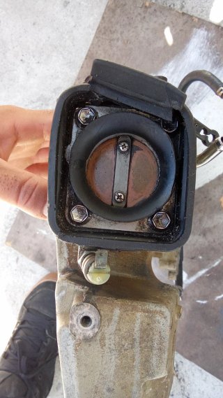 Colector Admisión Suzuki DF 50 Fueraborda