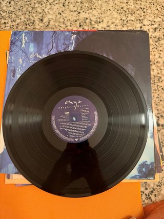 Vinilo Enya Shepherd Moons