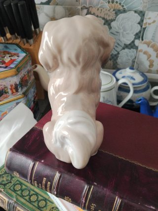 PERRO PEKINÈS LLADRÒ