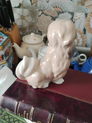 PERRO PEKINÈS LLADRÒ