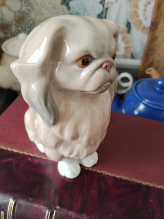 PERRO PEKINÈS LLADRÒ