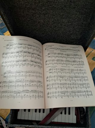 Acordeón Hohner Student IVN + Estuche