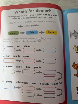 Let's Do Spelling 10-11