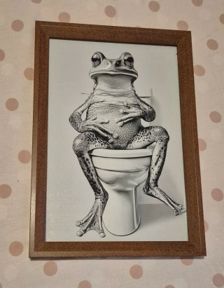 Set 3 Cuadros Ranas Baño WC