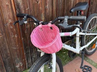 Bicicleta Riverside 100 + cestita
