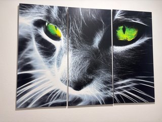 Cuadro Tríptico Ojos de Gato