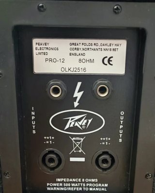 Altavoces Peavey pro-12