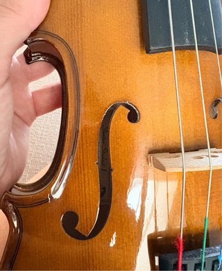 Viola Stentor 12” con arco y estuche + regalo