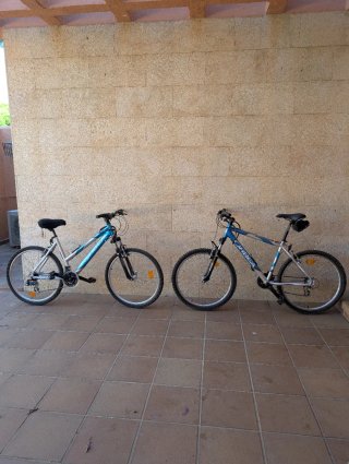 Bicicleta Orbea Adulto