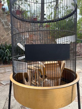 Jaula grande para pájaros con accesorios