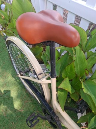 Bicicleta de paseo edición limitada y cesta