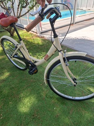 Bicicleta de paseo edición limitada y cesta