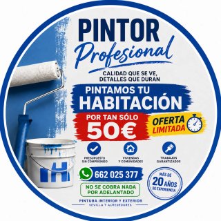 Pintor Profesional Económico