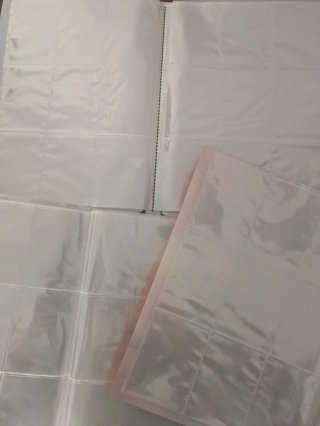 Álbumes Pokémon Trading Card Game