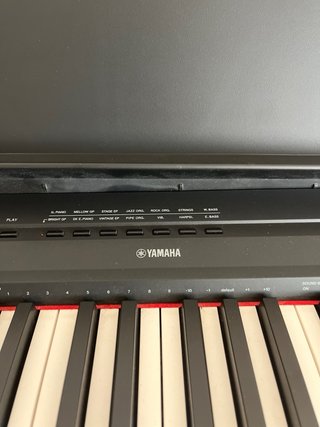 Alquilo Piano Digital Yamaha P-115