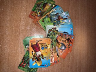 Juego de Cartas Familias