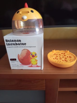 Incubadora huevos pollitos