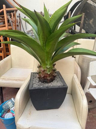 Planta artificial tipo agave