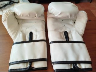 Guantes de Boxeo Everlast Blancos