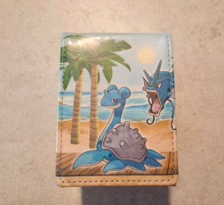 Lote Accesorios TCG Pokémon