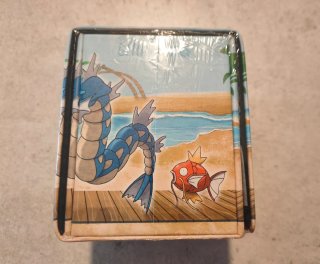 Lote Accesorios TCG Pokémon