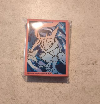 Lote Accesorios TCG Pokémon