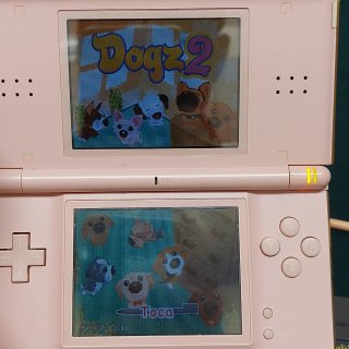 Lote 3 Juegos Nintendo DS: Brain Training, Dogz 2,
