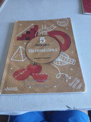Lote de libros de Matemáticas de 5° de primaria