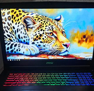 PORTATIL GAMING MSI 17 PULGADAS