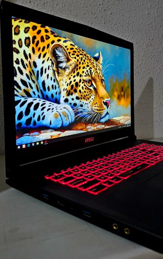 PORTATIL GAMING MSI 17 PULGADAS