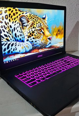 PORTATIL GAMING MSI 17 PULGADAS