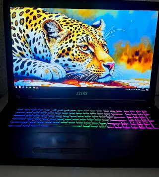PORTATIL GAMING MSI 17 PULGADAS