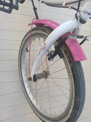 Bicicleta niña 20 rosa