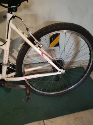 Bicicleta niña INDUR 6Y