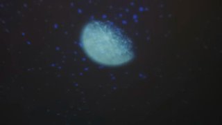 Proyector Planetario Edu Science
