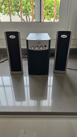 Sistema de Altavoces 2.1 PC Genius SW-J2.1 330 (co